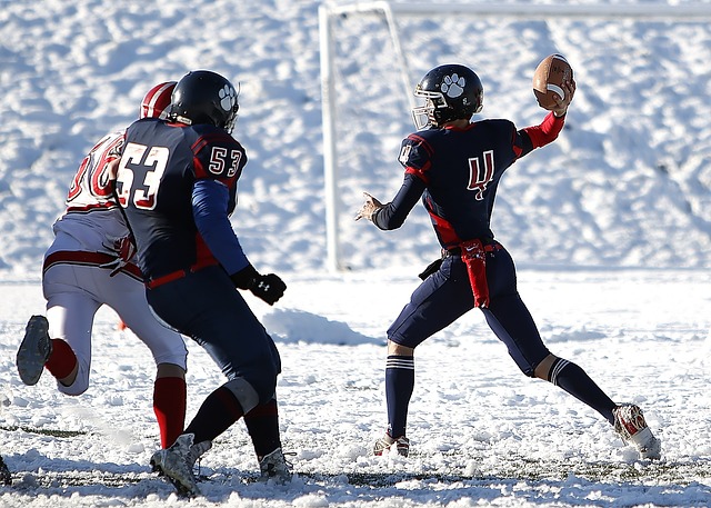出身于法国 出身于法国