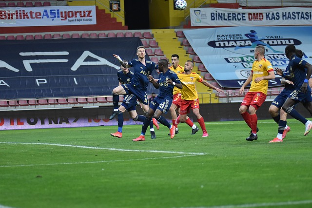 专家们再度 专家们再度