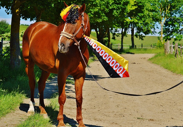 维纳尔杜姆 维纳尔杜姆